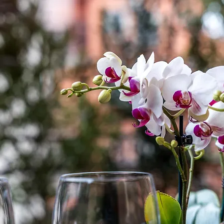 Il Vizio Del Centro Guest house 3*